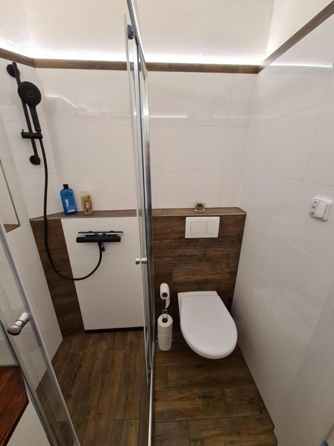Appartement Svetly Prostorny Byt V Karline à Prague Extérieur photo