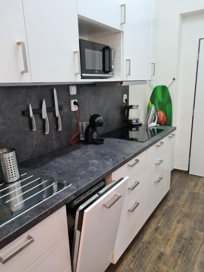Appartement Svetly Prostorny Byt V Karline à Prague Extérieur photo